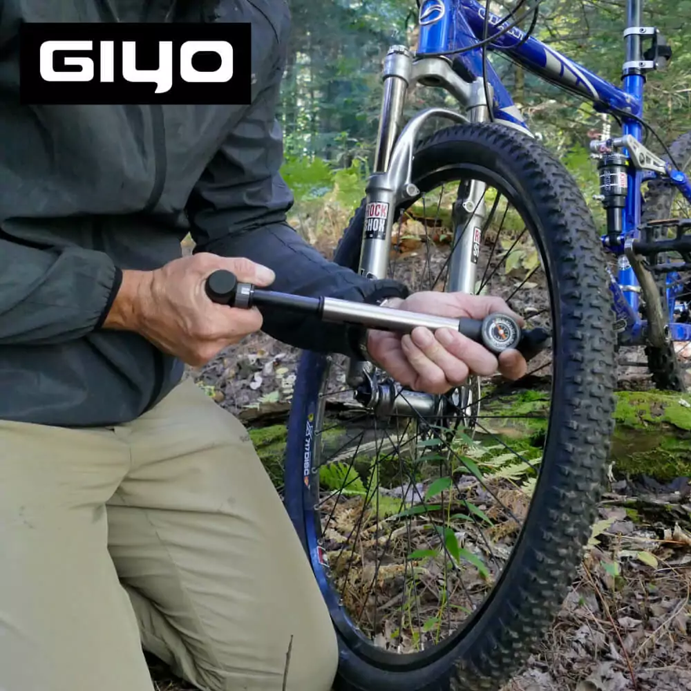 Who Are 2 Stage Bike Pumps For?